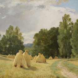Near the forest